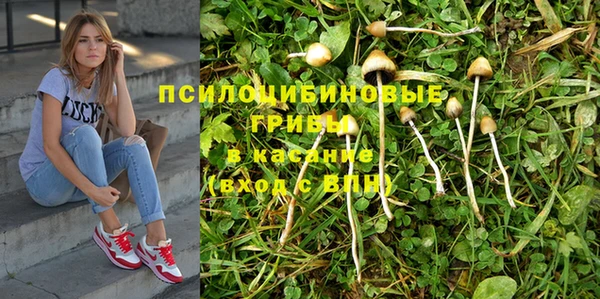 дживик Кострома