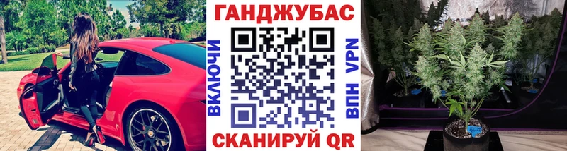 OMG tor  Новомосковск  Конопля конопля 